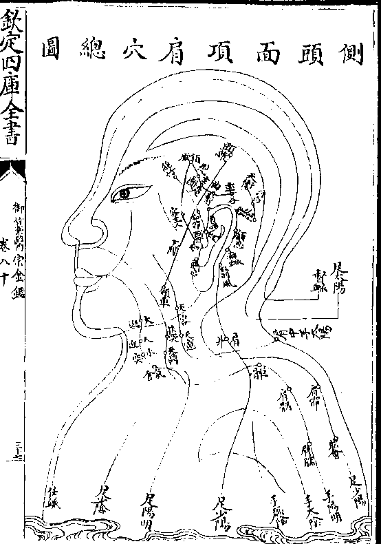 悬颅 悬釐曲鬓 率谷 天冲 浮白窍阴(俱足少/阳穴)角孙 颅息瘈脉