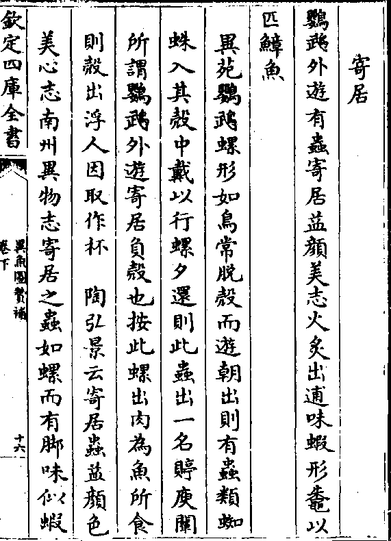 此虫出一名庾阐所谓鹦鹉外游寄居负壳也按此螺出肉为鱼所食则壳出浮人