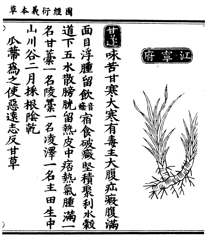 茎并叶同拌甘草四两细锉用拌水令 湿同蒸临时去甘草取蜀漆五两细锉又